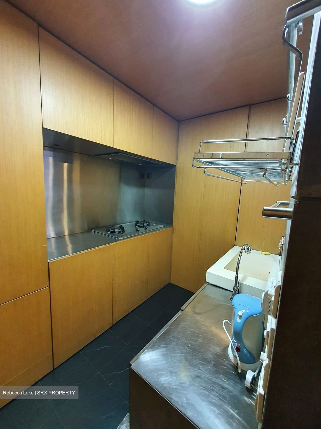 Nineteen Shelford Road (D11), Condominium #585551431